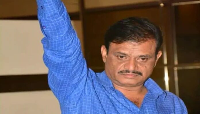 WhatsApp Image 2023-02-20 at 3.36.25 PM