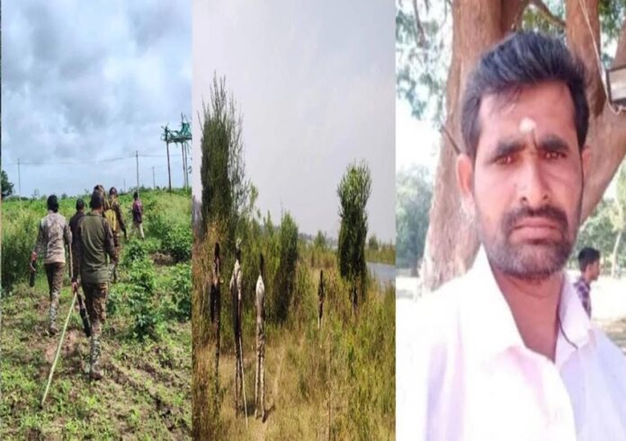 WhatsApp Image 2023-11-07 at 10.41.34 AM