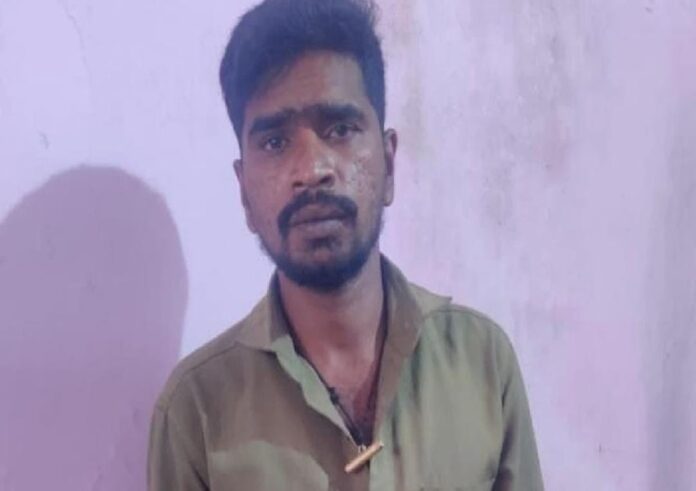 WhatsApp Image 2023-11-08 at 9.48.30 AM