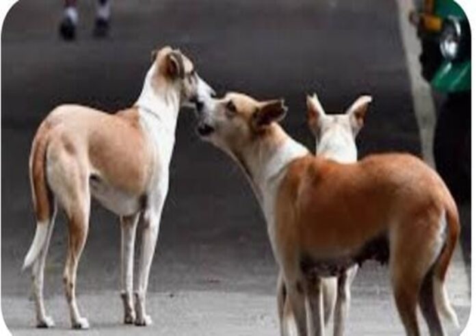 WhatsApp Image 2023-11-16 at 9.13.50 AM