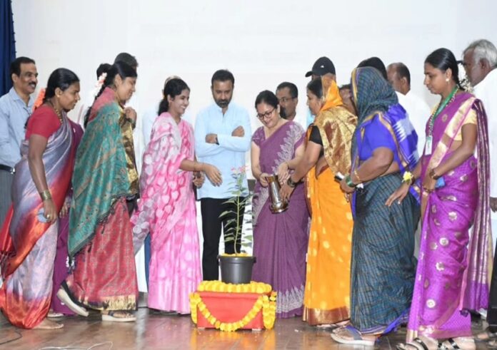 WhatsApp Image 2023-11-24 at 4.41.33 PM (1)