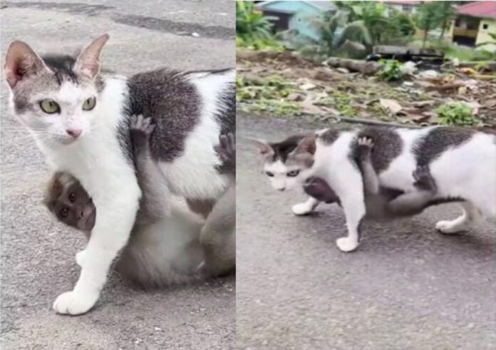 WhatsApp Image 2023-11-24 at 4.49.53 PM