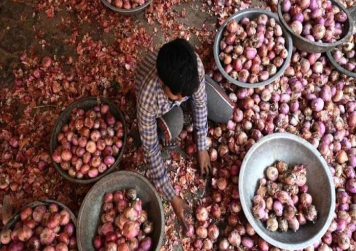 WhatsApp Image 2023-11-25 at 3.31.40 PM