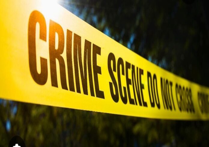 WhatsApp Image 2023-12-01 at 4.14.49 PM