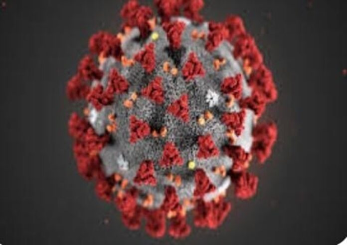 WhatsApp Image 2023-12-16 at 8.14.07 AM