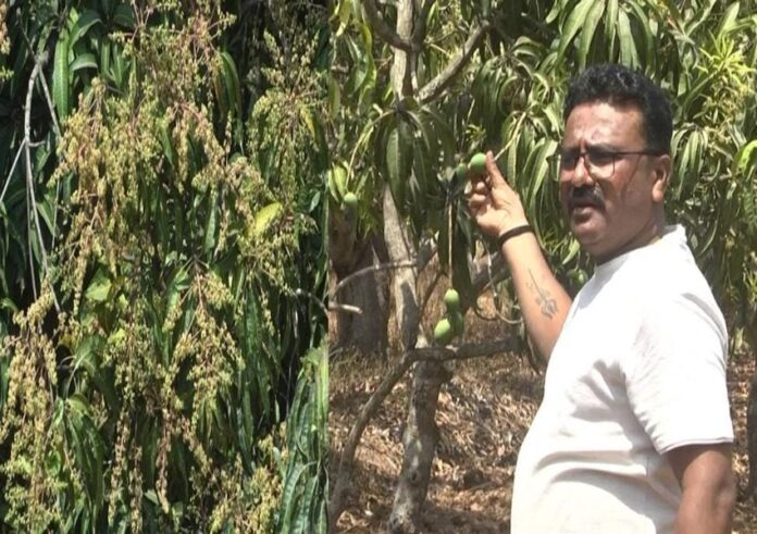 WhatsApp Image 2024-03-05 at 12.46.11 PM