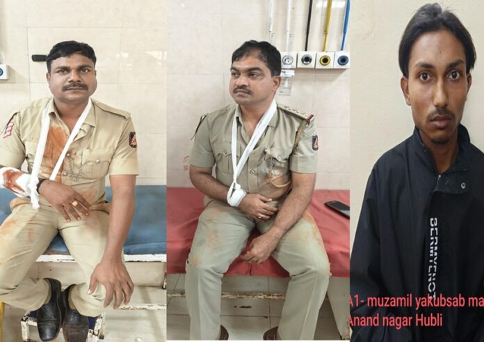 WhatsApp Image 2024-12-31 at 12.07.56 PM