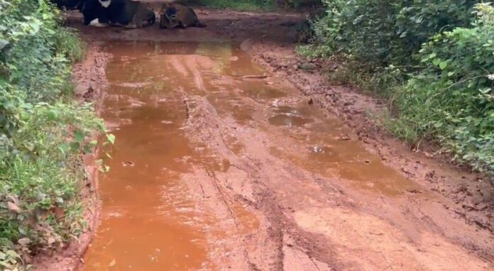 WhatsApp Image 2025-07-18 at 4.49.16 PM