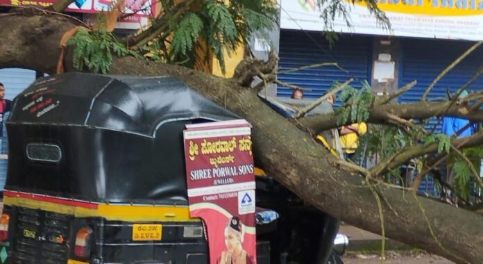 WhatsApp Image 2025-07-31 at 6.55.19 PM