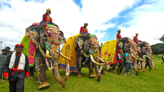 Who is the topper among the Dasara elephants? Interesting complete story!