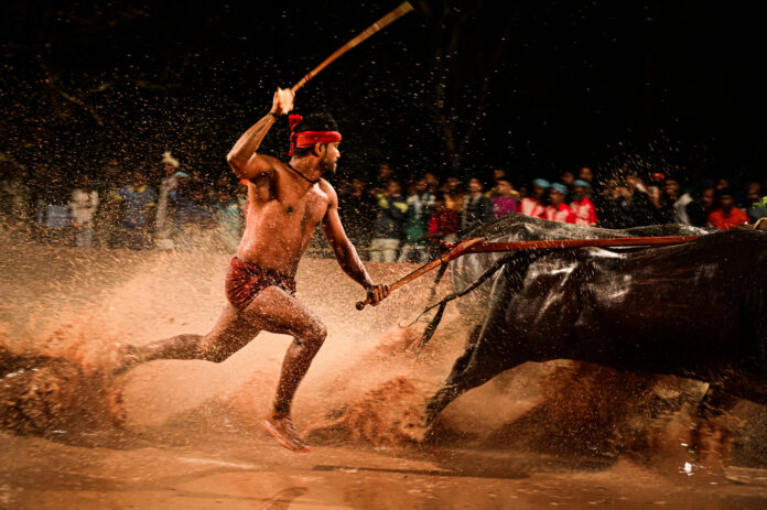 Fans disappointed as this sport will not be there for Dussehra Fans disappointed as this sport will not be there for Dussehra