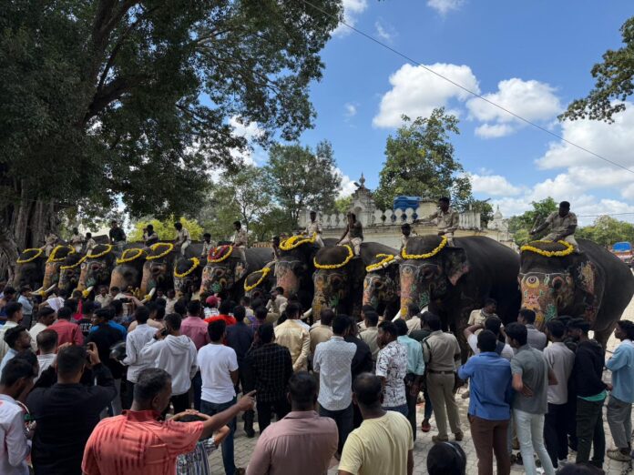 Come and join the Dasara Heroes.. A shower of thanks to the Gajapade Come and join the Dasara Heroes.. A shower of thanks to the Gajapade