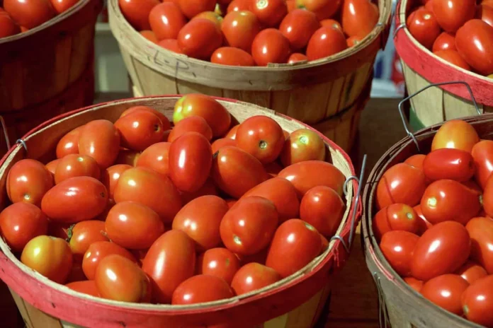 Tomato price = gold price: Pakistani people are poor