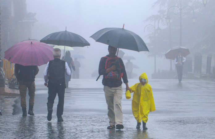 Warning! Heavy rain forecast - Yellow alert for 20 districts