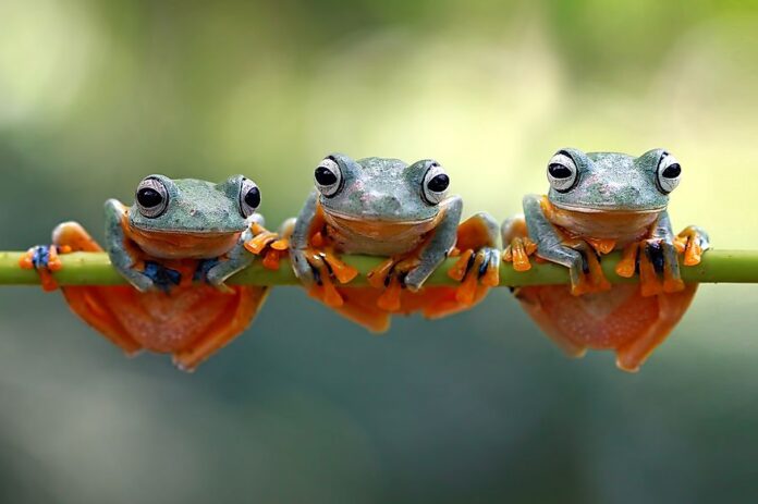 shutterstock-676784959-1