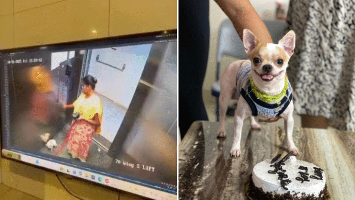 Woman arrested for killing dog in apartment elevator! Woman arrested for killing dog in apartment elevator!