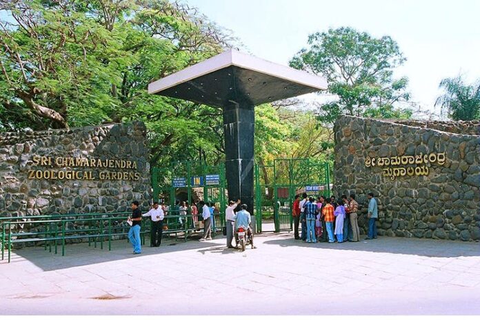 Mysore ZOO gets a new style! No more running around!