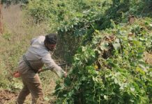 'Tithi' hero now works as a wage labourer! No chance of winning a National Award