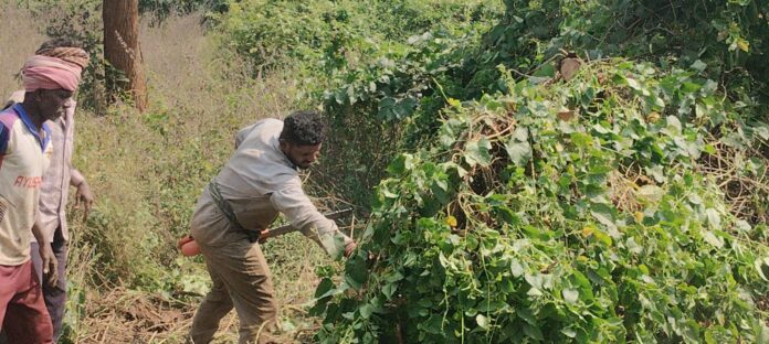 'Tithi' hero now works as a wage labourer! No chance of winning a National Award 'Tithi' hero now works as a wage labourer! No chance of winning a National Award