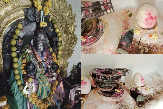 WhatsApp Image 2026-02-20 at 12.04.26 PM