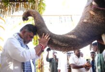 ನಾನು ಡಿಸಿಎಂ ಆಗಿ ಅಲ್ಲ, ಭಕ್ತನಾಗಿ, ಶಿಷ್ಯನಾಗಿ, ಅಜ್ಜನ ಅನುಯಾಯಿಯಾಗಿ ಸೇವೆ ಮಾಡುತ್ತಿದ್ದೇನೆ: ಡಿಕೆಶಿ