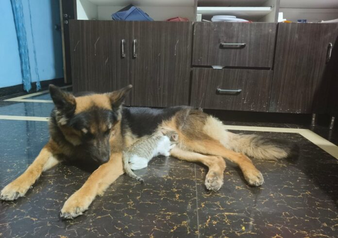 WhatsApp Image 2026-04-04 at 5.03.20 PM