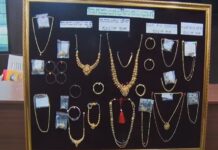 Mandya News: ಮಂಡ್ಯ ಪೋಲೀಸರ ಭರ್ಜರಿ ಕಾರ್ಯಾಚರಣೆ: ಪ್ರತ್ಯೇಕ ಪ್ರಕರಣದಲ್ಲಿ 28 ಕಳ್ಳರ ಬಂಧನ