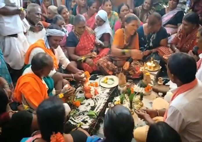 ಕಪ್ಪೆ