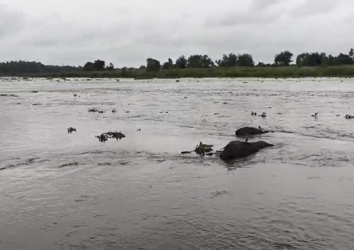 river
