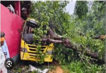 Bantwala News: ಶಾಲಾ ಬಸ್ ಮೇಲೆ ಉರುಳಿ ಬಿದ್ದ ಮರ: 6 ವರ್ಷದ ಬಾಲಕಿ ಚಿರನ್ವಿ ಸಾ*