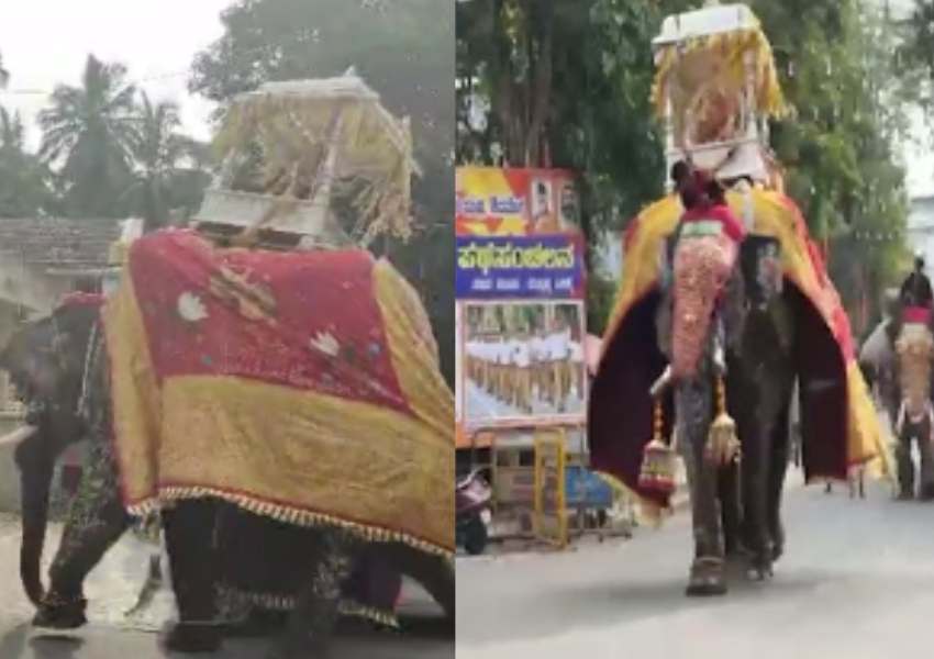 ಶಿವಮೊಗ್ಗ ದಸರಾ ಆನೆ ಅವಘಡದ ಬೆನ್ನಲ್ಲೇ ಎಚ್ಚೆತ್ತ ಸರ್ಕಾರ!